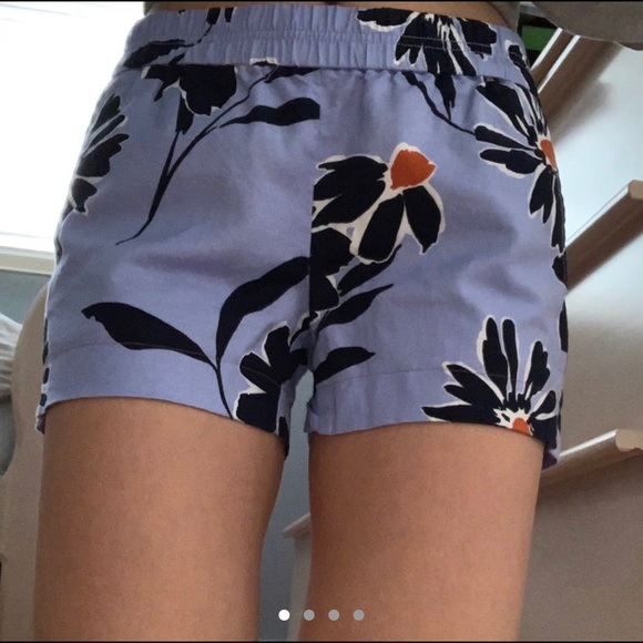 J. Crew Pants - J Crew shorts